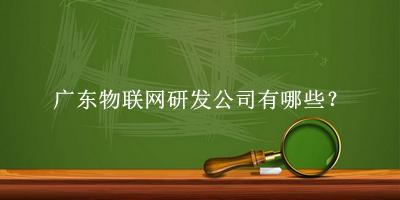 廣東物聯網研發公司